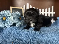 processed/b1f0ea75-443b-4d26-b8ad-4cc68be8fb2f/listing/321c2717-62a0-4fd3-a985-90e73f573d70/6c8be948-13d2-4964-8f72-8a3dad2a2585