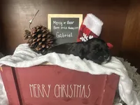 processed/b1f0ea75-443b-4d26-b8ad-4cc68be8fb2f/listing/321c2717-62a0-4fd3-a985-90e73f573d70/6fc3b16c-3ef8-45a1-a4db-01b0b0f219e0