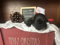 processed/b1f0ea75-443b-4d26-b8ad-4cc68be8fb2f/listing/321c2717-62a0-4fd3-a985-90e73f573d70/7f9e3dc2-c28e-4b9c-b8d5-f666d5dd3b00