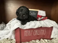 processed/b1f0ea75-443b-4d26-b8ad-4cc68be8fb2f/listing/3f192389-57b7-4fc6-b476-f6fc80c62bcc/804beced-ecbf-49d9-93ee-a987bc0b5b47