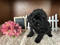 processed/b1f0ea75-443b-4d26-b8ad-4cc68be8fb2f/listing/3f192389-57b7-4fc6-b476-f6fc80c62bcc/8fba510a-d8f9-4a8d-87fc-789620151f50