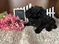 processed/b1f0ea75-443b-4d26-b8ad-4cc68be8fb2f/listing/5d9785ca-cf6b-4a85-8025-310562d1b804/1c704da4-3fe0-4525-9d99-767541540c94