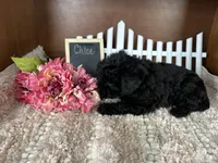 processed/b1f0ea75-443b-4d26-b8ad-4cc68be8fb2f/listing/5d9785ca-cf6b-4a85-8025-310562d1b804/36662ec8-b860-451c-9800-ced24123c6e1