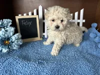 processed/b1f0ea75-443b-4d26-b8ad-4cc68be8fb2f/listing/8d57d5ea-d0d9-40f1-8b3e-2cb6cbc575d9/1a8366e3-7962-46a5-a01c-1dd9855d06ae