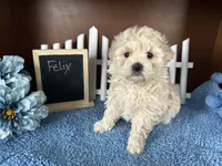 processed/b1f0ea75-443b-4d26-b8ad-4cc68be8fb2f/listing/8d57d5ea-d0d9-40f1-8b3e-2cb6cbc575d9/a22d8c4b-35c1-4d90-a9bc-83dcf00be29c