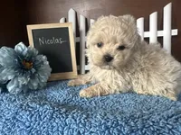 processed/b1f0ea75-443b-4d26-b8ad-4cc68be8fb2f/listing/e47dcc00-c9cb-4f7e-aa24-90a8053b81d0/0136ff6a-933b-47f6-9906-197e4c6c4fbf