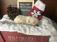 processed/b1f0ea75-443b-4d26-b8ad-4cc68be8fb2f/listing/e47dcc00-c9cb-4f7e-aa24-90a8053b81d0/40ed104a-3b2a-4990-abd8-2b7bed21acf4