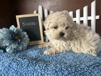 processed/b1f0ea75-443b-4d26-b8ad-4cc68be8fb2f/listing/e47dcc00-c9cb-4f7e-aa24-90a8053b81d0/44b57483-12bf-4724-b84a-a22ff82a61bc