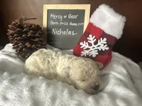 processed/b1f0ea75-443b-4d26-b8ad-4cc68be8fb2f/listing/e47dcc00-c9cb-4f7e-aa24-90a8053b81d0/8f1e23de-6ecd-48cd-85a8-a970fb5ed740