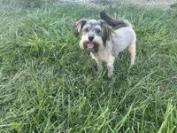 processed/b1f1ef9d-8854-47df-9d52-9763a5152c66/listing/36883414-8f04-4ad9-9512-0375c19eadc3/00282c74-f43a-4ecf-ba63-da56ba7ba6b7