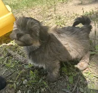 processed/b1f1ef9d-8854-47df-9d52-9763a5152c66/listing/36883414-8f04-4ad9-9512-0375c19eadc3/36f75011-157d-4686-8ff0-9c53783f10b2