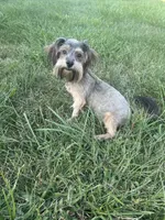 processed/b1f1ef9d-8854-47df-9d52-9763a5152c66/listing/36883414-8f04-4ad9-9512-0375c19eadc3/44756f44-bc47-488a-b2a3-1ce0134e77c8