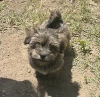 processed/b1f1ef9d-8854-47df-9d52-9763a5152c66/listing/36883414-8f04-4ad9-9512-0375c19eadc3/44dcac0a-9bf5-41d2-800b-fafe7a027da1