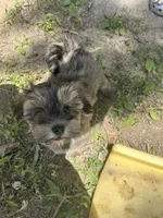 processed/b1f1ef9d-8854-47df-9d52-9763a5152c66/listing/36883414-8f04-4ad9-9512-0375c19eadc3/7b0219e0-f534-4763-a564-567fb2a2f60e