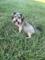 processed/b1f1ef9d-8854-47df-9d52-9763a5152c66/listing/36883414-8f04-4ad9-9512-0375c19eadc3/9f86c33b-574f-4a4c-900b-aeedaa8b4b3e