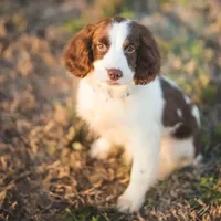 processed/b1f84a0d-7fe3-45c5-a0cf-6d7c982671fc/facility/120b0c35-b9ec-42d3-8f22-d289bccab654