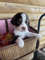 processed/b1f84a0d-7fe3-45c5-a0cf-6d7c982671fc/facility/3f9fc45d-825b-48df-ab1b-75459fa9272e