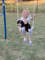 processed/b1f84a0d-7fe3-45c5-a0cf-6d7c982671fc/facility/4ab4a950-d323-474f-8e1f-633ce67ebf53