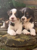 processed/b1f84a0d-7fe3-45c5-a0cf-6d7c982671fc/facility/58bcfbd9-f64a-4d94-9bed-f589f1246a98