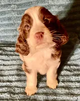 processed/b1f84a0d-7fe3-45c5-a0cf-6d7c982671fc/facility/b0aa38f6-16aa-4b39-a274-51616da0c5ad