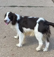 processed/b1f84a0d-7fe3-45c5-a0cf-6d7c982671fc/listing/0a565b64-e70c-4b6b-b045-e243bf04ff85/08c03927-9233-45e4-a8aa-4ace315250d5