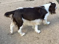 processed/b1f84a0d-7fe3-45c5-a0cf-6d7c982671fc/listing/0a565b64-e70c-4b6b-b045-e243bf04ff85/41b53de7-c57c-4108-91d9-cc5201d9a599