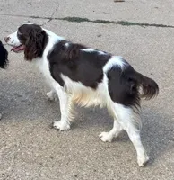 processed/b1f84a0d-7fe3-45c5-a0cf-6d7c982671fc/listing/0a565b64-e70c-4b6b-b045-e243bf04ff85/7d2b2ad0-6498-4e46-9447-3112b7ae152d