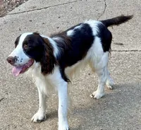 processed/b1f84a0d-7fe3-45c5-a0cf-6d7c982671fc/listing/0a565b64-e70c-4b6b-b045-e243bf04ff85/a68d99b6-495d-4a13-a012-9a2e6b06149f