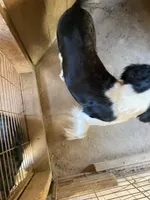 processed/b1f84a0d-7fe3-45c5-a0cf-6d7c982671fc/listing/4a632604-101d-41a8-bc84-5966a1ec4cab/0b0acfe8-ac48-4a17-8917-5cc8ea4a8d3a