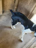 processed/b1f84a0d-7fe3-45c5-a0cf-6d7c982671fc/listing/4a632604-101d-41a8-bc84-5966a1ec4cab/805c5c88-634e-4f91-b264-c32b00c0843e