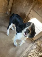 processed/b1f84a0d-7fe3-45c5-a0cf-6d7c982671fc/listing/4a632604-101d-41a8-bc84-5966a1ec4cab/91fb813d-1d67-405c-b04e-3d5d967a13b1