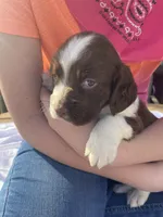 processed/b1f84a0d-7fe3-45c5-a0cf-6d7c982671fc/listing/54022fab-5dd7-406e-aa9c-5c274085eb4d/58987054-0ee9-4296-a5df-78c779510000