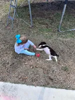 processed/b1f84a0d-7fe3-45c5-a0cf-6d7c982671fc/listing/54022fab-5dd7-406e-aa9c-5c274085eb4d/5d61b495-5e3a-4ca8-b9c7-4a2875a8d1b0