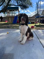 processed/b1f84a0d-7fe3-45c5-a0cf-6d7c982671fc/listing/54022fab-5dd7-406e-aa9c-5c274085eb4d/6350f069-644a-4367-ad43-6cea0724346d