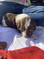 processed/b1f84a0d-7fe3-45c5-a0cf-6d7c982671fc/listing/54022fab-5dd7-406e-aa9c-5c274085eb4d/95769996-847f-412d-a3aa-c66c82c7042e