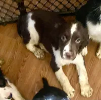 processed/b1f84a0d-7fe3-45c5-a0cf-6d7c982671fc/listing/54022fab-5dd7-406e-aa9c-5c274085eb4d/c87ba66c-57cc-4884-b433-1c6d0a2d26e8