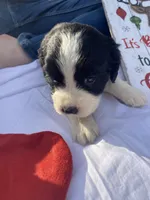 processed/b1f84a0d-7fe3-45c5-a0cf-6d7c982671fc/listing/7596ce15-2ad9-4d4f-9d1b-95257d4d56ee/48e28c46-e9c0-4baf-9f81-711e22a57bf6