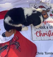 processed/b1f84a0d-7fe3-45c5-a0cf-6d7c982671fc/listing/7596ce15-2ad9-4d4f-9d1b-95257d4d56ee/722fb8ed-3cb7-4526-8c6b-917632c35a34