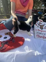 processed/b1f84a0d-7fe3-45c5-a0cf-6d7c982671fc/listing/7596ce15-2ad9-4d4f-9d1b-95257d4d56ee/b994c9bb-4283-4c33-b7dd-9842720011af