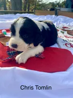 processed/b1f84a0d-7fe3-45c5-a0cf-6d7c982671fc/listing/7596ce15-2ad9-4d4f-9d1b-95257d4d56ee/d42fc3c6-3eb5-480a-8dc1-e3f09164b37b