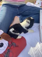 processed/b1f84a0d-7fe3-45c5-a0cf-6d7c982671fc/listing/7596ce15-2ad9-4d4f-9d1b-95257d4d56ee/e97b3205-39e4-435c-88a1-6cb2248b835d