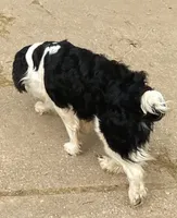 processed/b1f84a0d-7fe3-45c5-a0cf-6d7c982671fc/listing/7c12cc91-f2c7-4b82-84da-d2be7e92507d/21238340-45b1-4932-9c93-064a4e7e5d1e