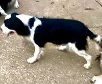 processed/b1f84a0d-7fe3-45c5-a0cf-6d7c982671fc/listing/7c12cc91-f2c7-4b82-84da-d2be7e92507d/4021c019-2fbf-4dac-bf9c-fc321611b4d1