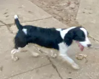 processed/b1f84a0d-7fe3-45c5-a0cf-6d7c982671fc/listing/7c12cc91-f2c7-4b82-84da-d2be7e92507d/66875a15-62e4-4840-a1ea-5646a4c4fb77