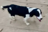 processed/b1f84a0d-7fe3-45c5-a0cf-6d7c982671fc/listing/7c12cc91-f2c7-4b82-84da-d2be7e92507d/df288895-5315-4eb7-b346-00559c37d223