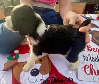 processed/b1f84a0d-7fe3-45c5-a0cf-6d7c982671fc/listing/98eb58b4-ae8c-4ed4-8cb7-07071355eef7/9f8a0a2b-3724-4359-abc5-4d35220d4ada