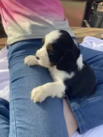 processed/b1f84a0d-7fe3-45c5-a0cf-6d7c982671fc/listing/98eb58b4-ae8c-4ed4-8cb7-07071355eef7/b217956a-0cc4-4942-9a29-510063959b5a