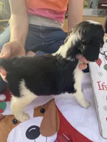 processed/b1f84a0d-7fe3-45c5-a0cf-6d7c982671fc/listing/98eb58b4-ae8c-4ed4-8cb7-07071355eef7/b9af97eb-3c65-4047-8dbe-ae604d4f0548