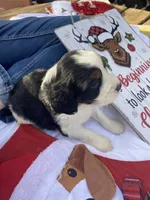 processed/b1f84a0d-7fe3-45c5-a0cf-6d7c982671fc/listing/98eb58b4-ae8c-4ed4-8cb7-07071355eef7/d4b9225a-4d0c-4d01-ba0d-491dd1b83363