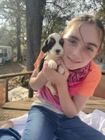 processed/b1f84a0d-7fe3-45c5-a0cf-6d7c982671fc/listing/98eb58b4-ae8c-4ed4-8cb7-07071355eef7/d5e703b6-d86c-49d5-b5a6-3885ae30c428